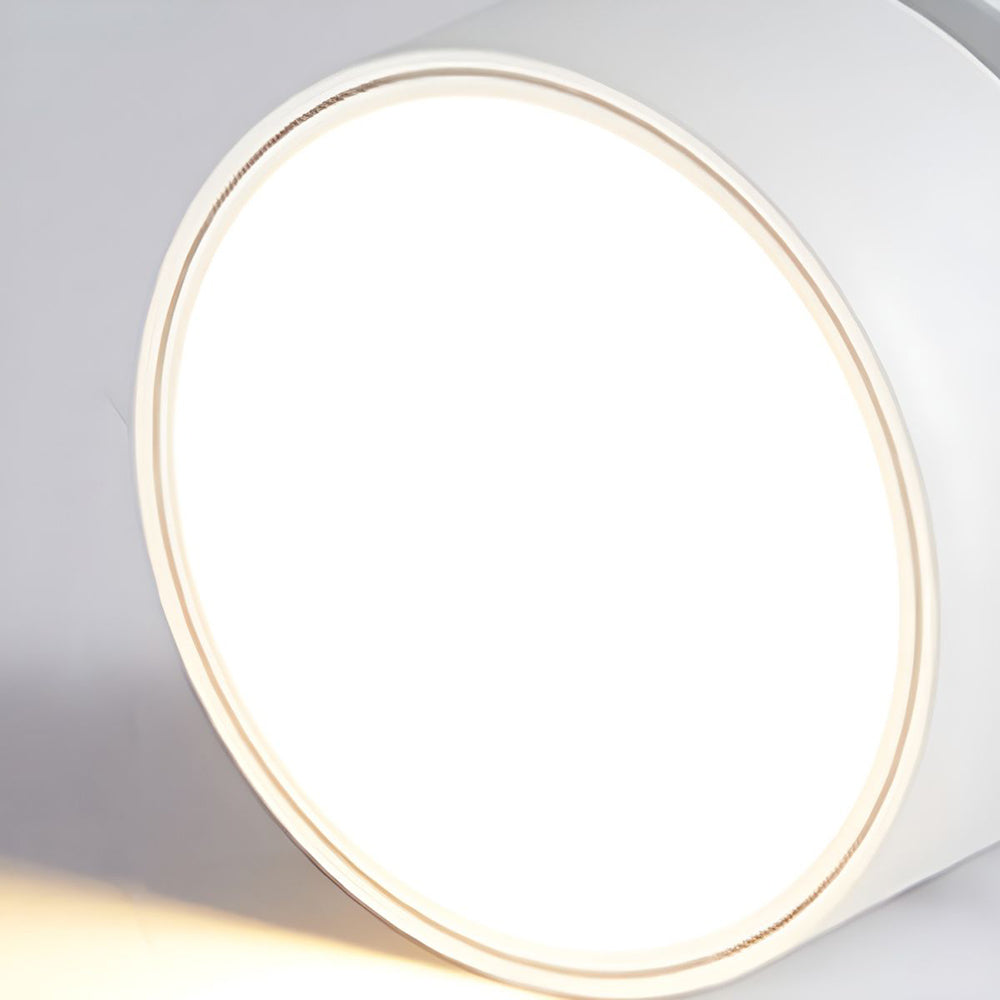Mini Surface-Mounted Adjustable Ceiling Lamp