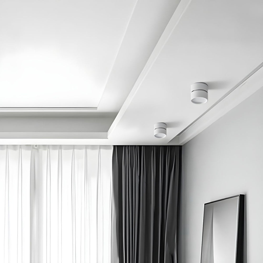 Mini Surface-Mounted Adjustable Ceiling Lamp