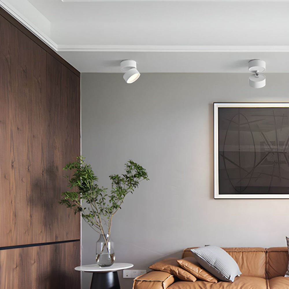 Mini Surface-Mounted Adjustable Ceiling Lamp