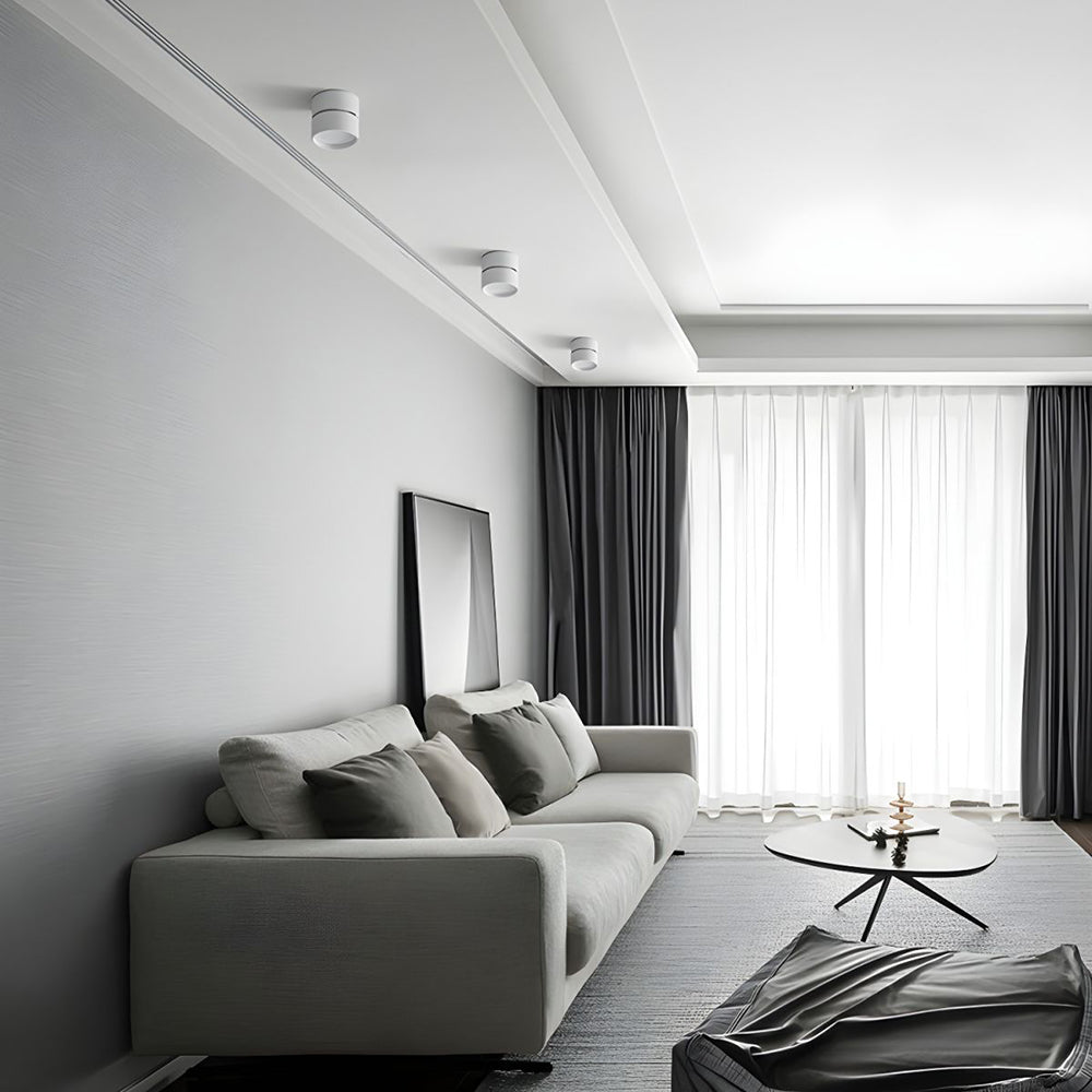 Mini Surface-Mounted Adjustable Ceiling Lamp