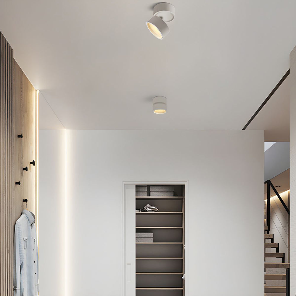 Mini Surface-Mounted Adjustable Ceiling Lamp