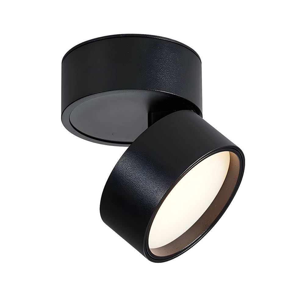 Mini Surface-Mounted Adjustable Ceiling Lamp