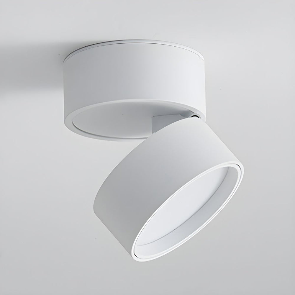 Mini Surface-Mounted Adjustable Ceiling Lamp