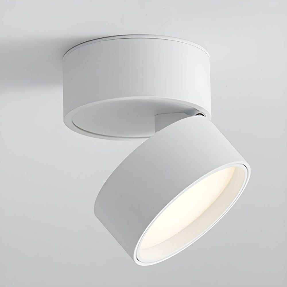 Mini Surface-Mounted Adjustable Ceiling Lamp