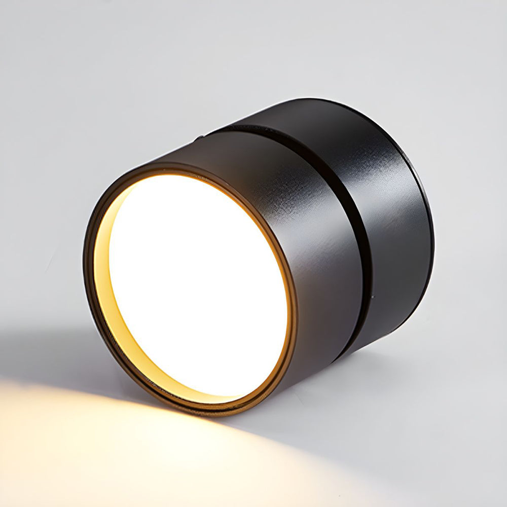 Mini Surface-Mounted Adjustable Ceiling Lamp