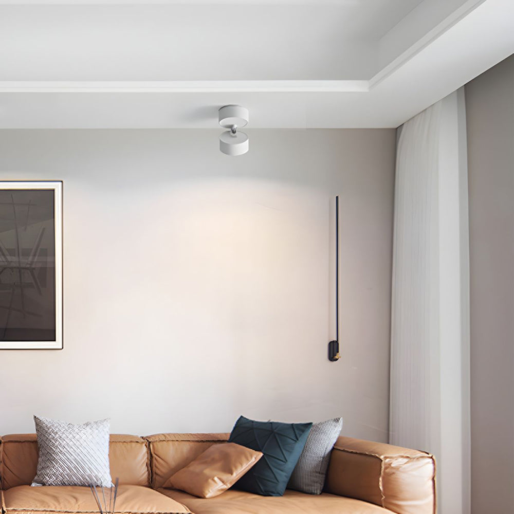 Mini Surface-Mounted Adjustable Ceiling Lamp