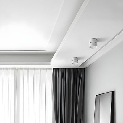Mini Surface-Mounted Adjustable Ceiling Lamp