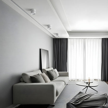 Mini Surface-Mounted Adjustable Ceiling Lamp