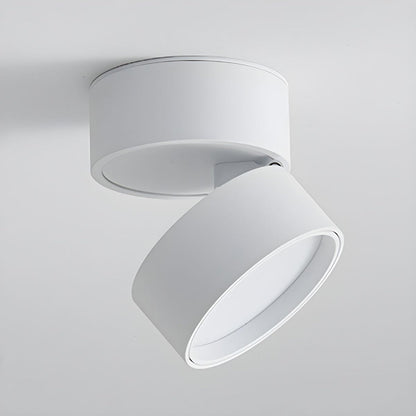 Mini Surface-Mounted Adjustable Ceiling Lamp