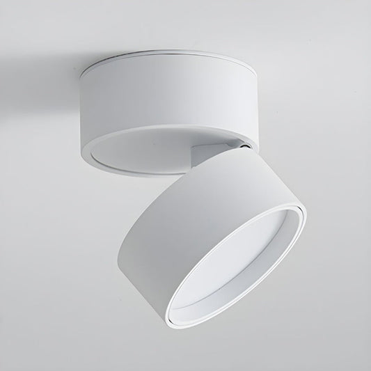 Mini Surface-Mounted Adjustable Ceiling Lamp