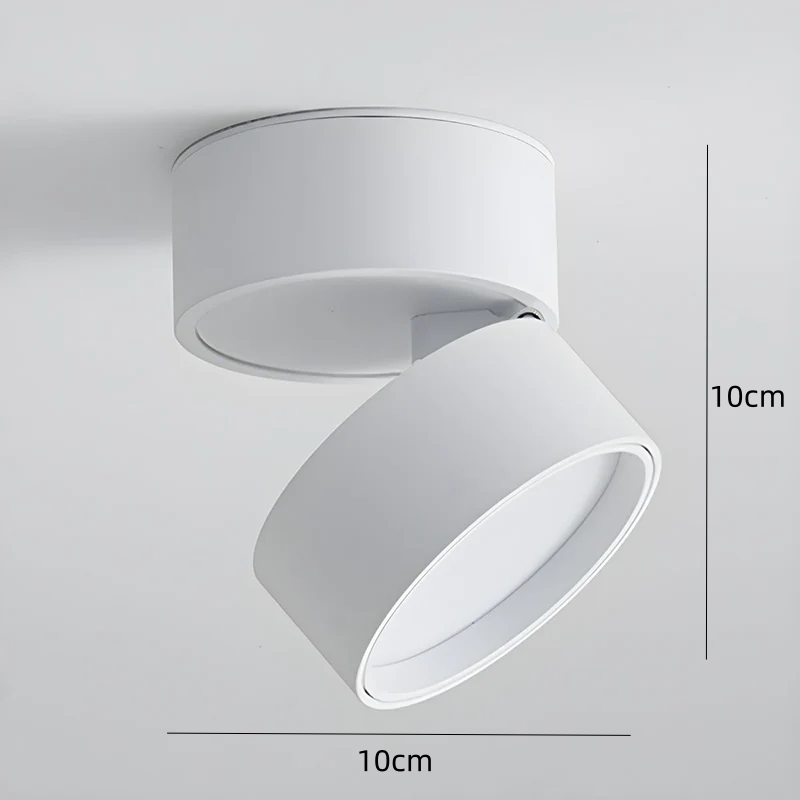 Mini Surface-Mounted Adjustable Ceiling Lamp