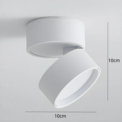Mini Surface-Mounted Adjustable Ceiling Lamp